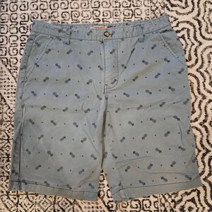 Hudson and Barrow Blue Pineapple Print Chino Shorts Size 36